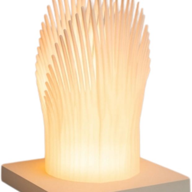 Radiant Burst • Growth Luminaire