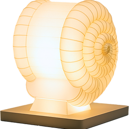 Ammolite Lumen • Fossil Spiral Lamp