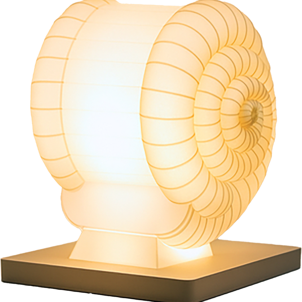 Ammolite Lumen • Fossil Spiral Lamp